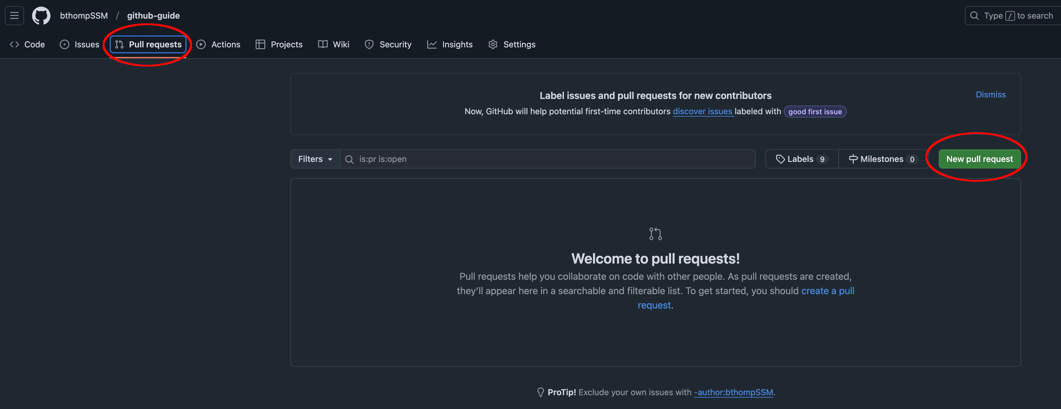 Opening a pull request